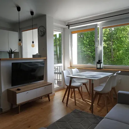 Srodmiescie Apartman *