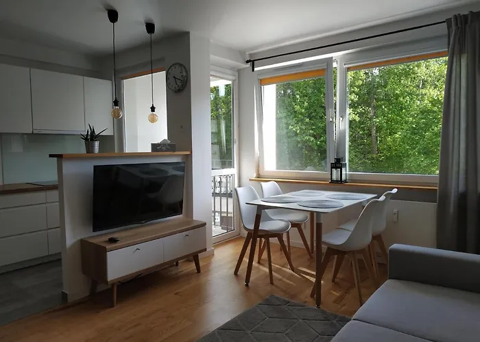 Srodmiescie Apartman *